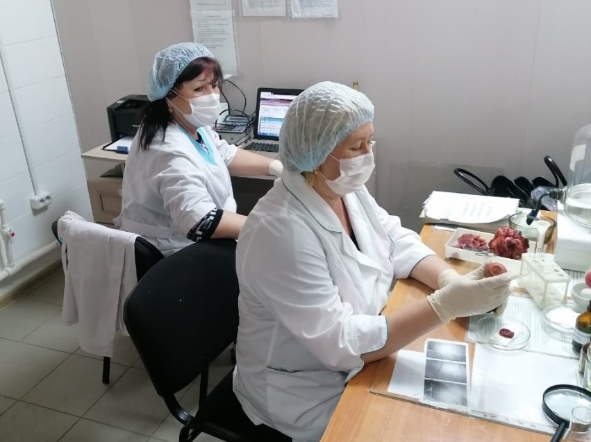 Ветспециалисты начали работу в современной лаборатории Чернышевского района 